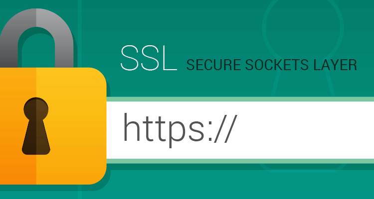 ¿Por qué necesitas un Certificado SSL en tu Sitio Web?